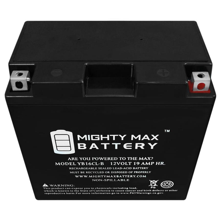 Mighty Max Battery 12-Volt 250-Amp Marine Battery In The Power ...