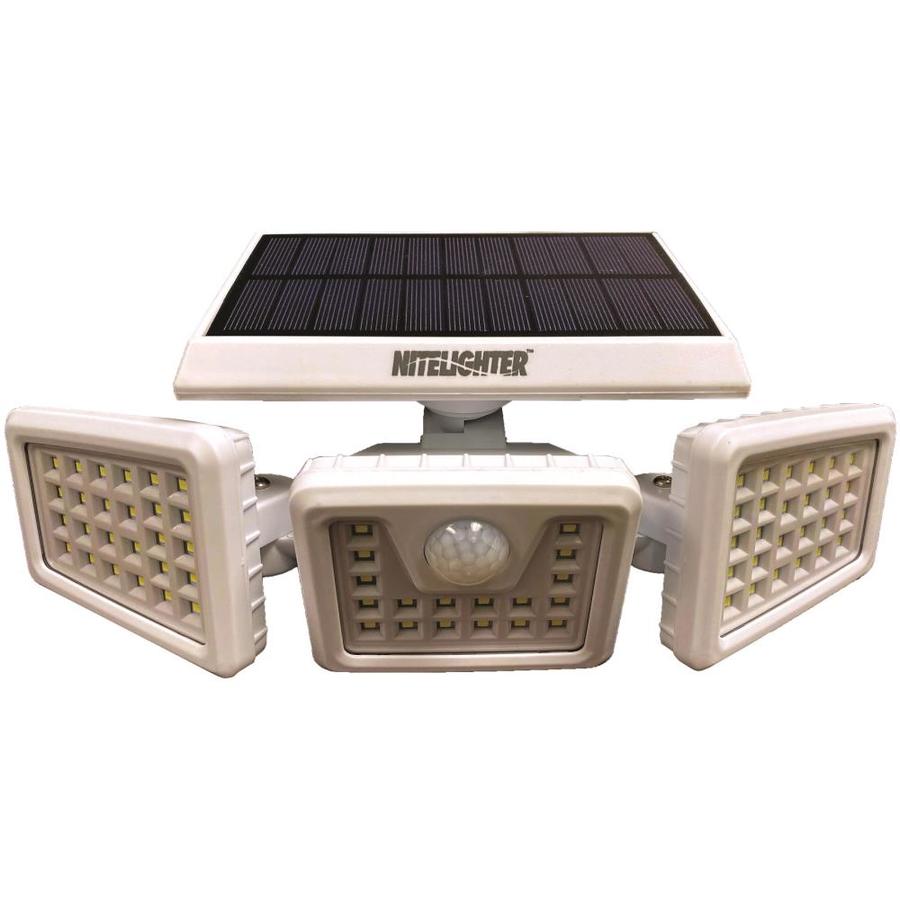 nitelighter nl100