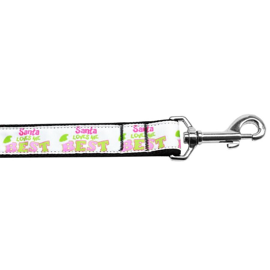 best 4 foot dog leash