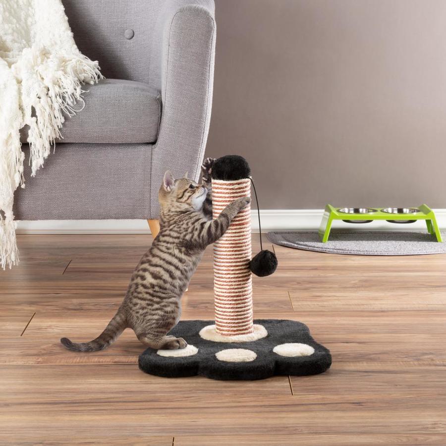 how to get cats to use scratching post