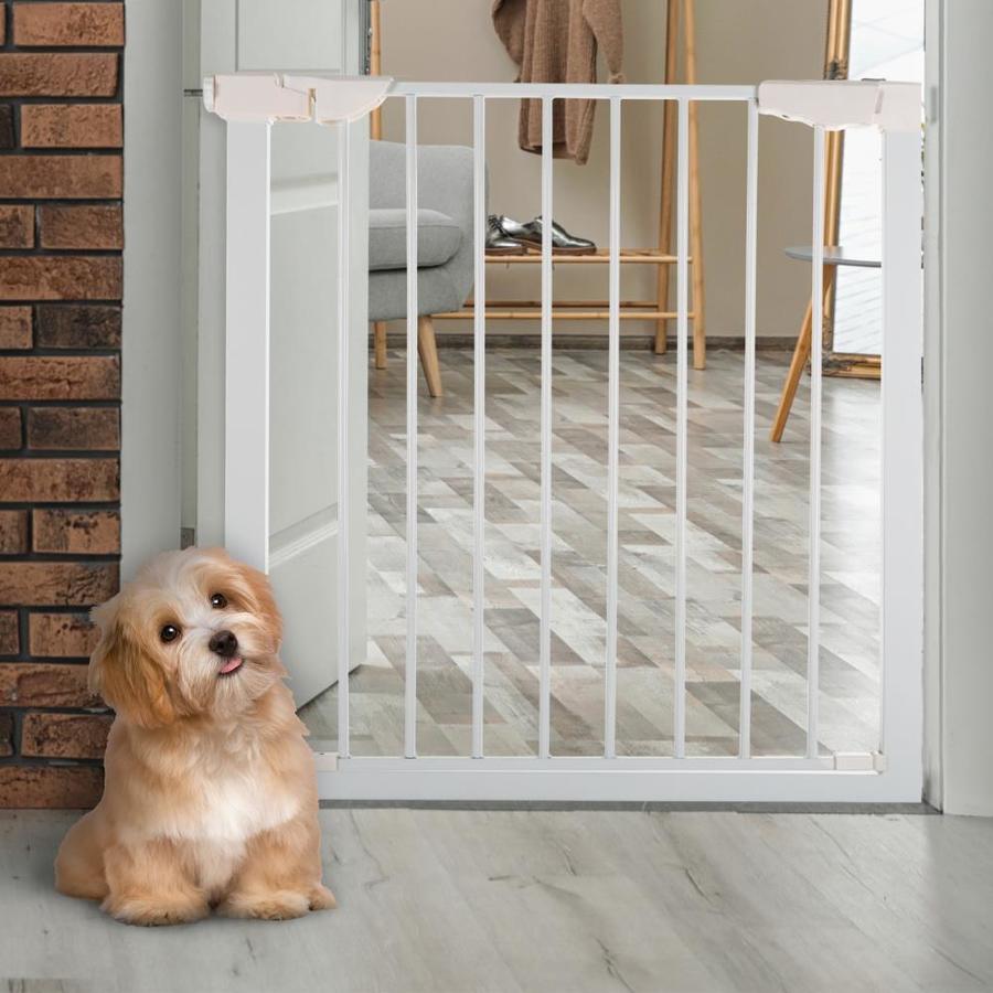 Featured image of post Metal Animal Gate - Alibaba.com offers 1,107 small animal gates products.