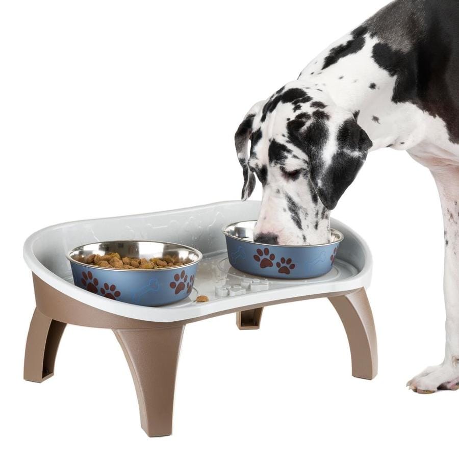 lowes dog food