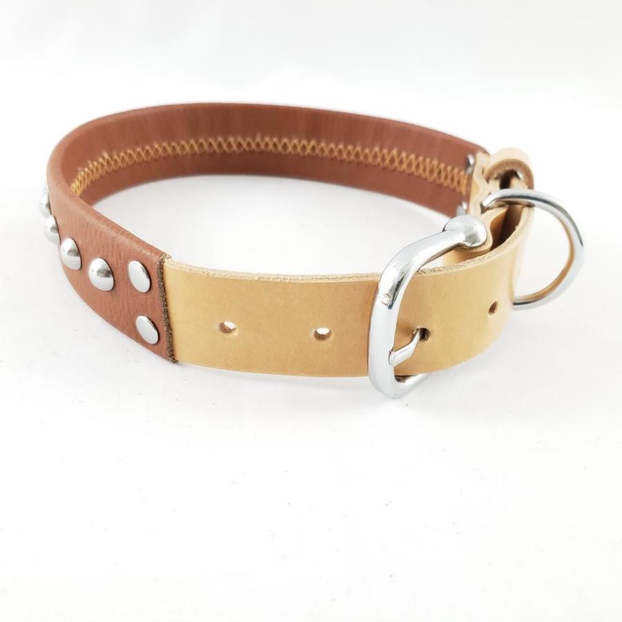 chrome dog collar