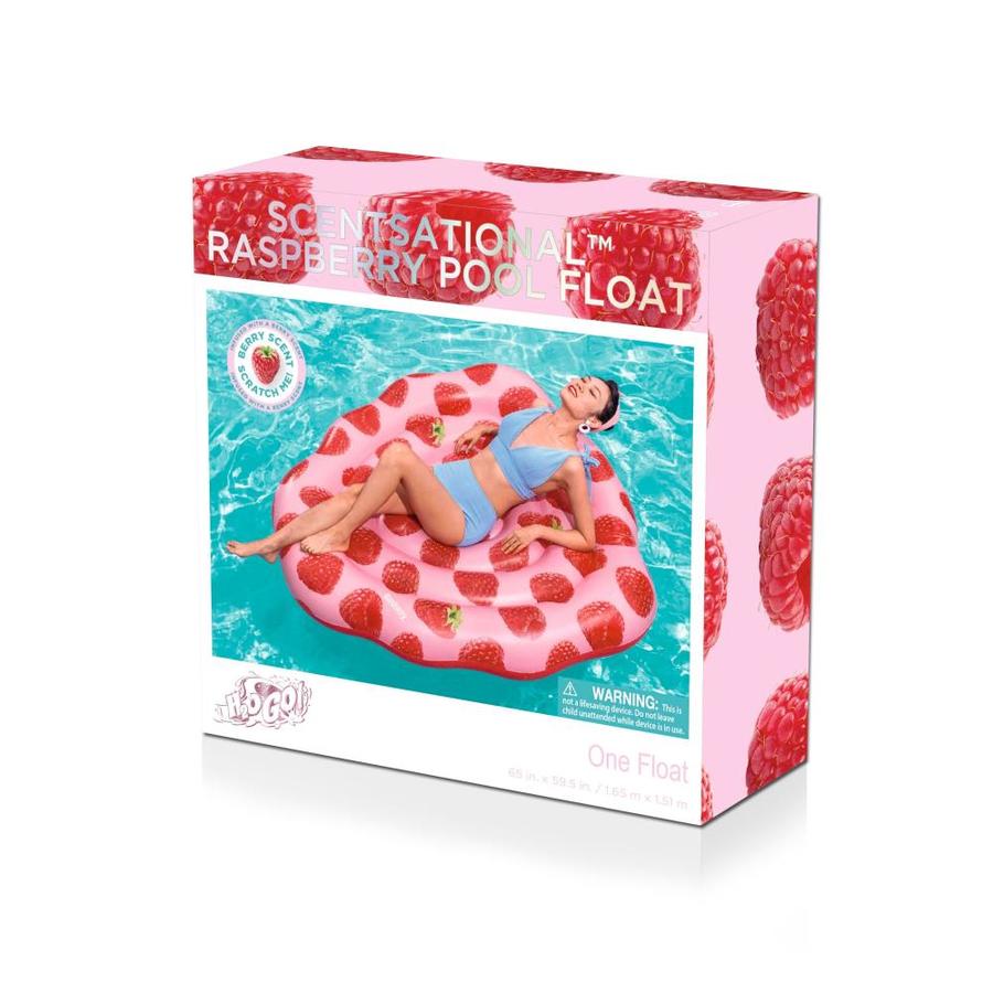 h2ogo pool floats