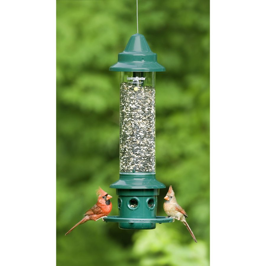 Birds Choice Brome Steel Squirrel-Resistant 3-Quart Tube Bird Feeder in