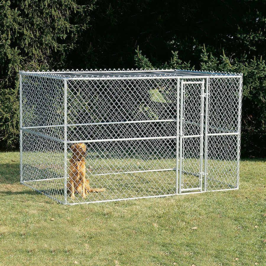 Lowes Dog Kennels at Carlos Winston blog