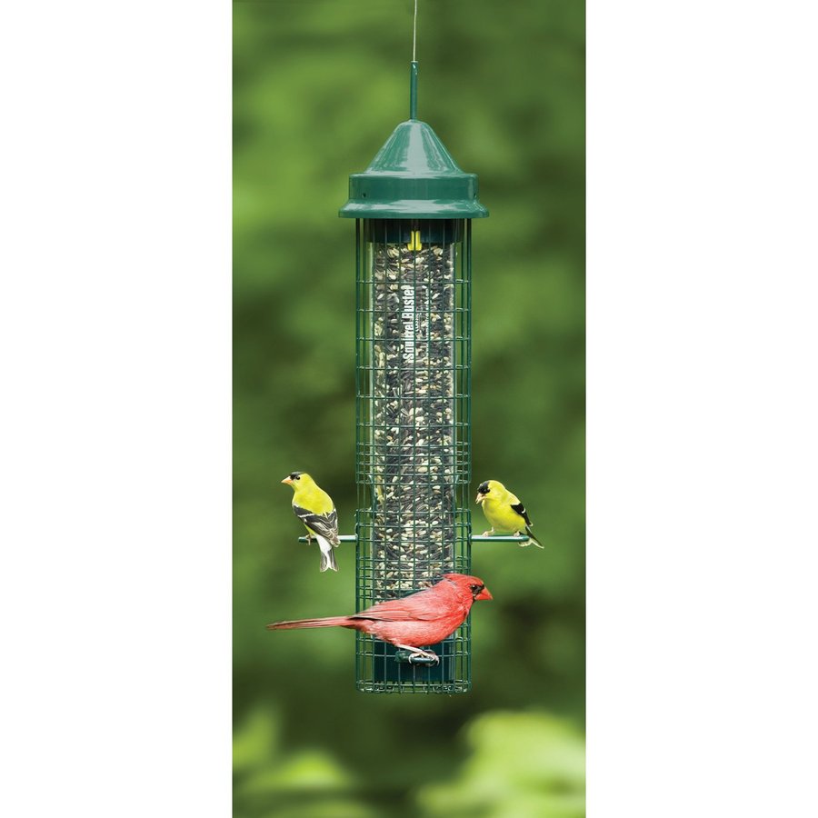 Birds Choice Brome Steel Squirrel-Resistant 1.5-Quart Tube Bird Feeder