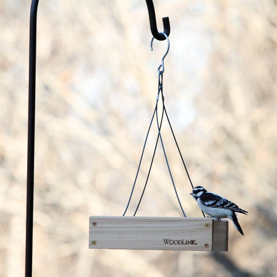 fly thru cedar platform bird feeder