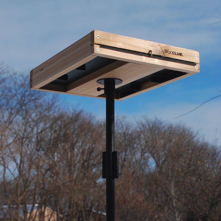 hanging bird feeder stand