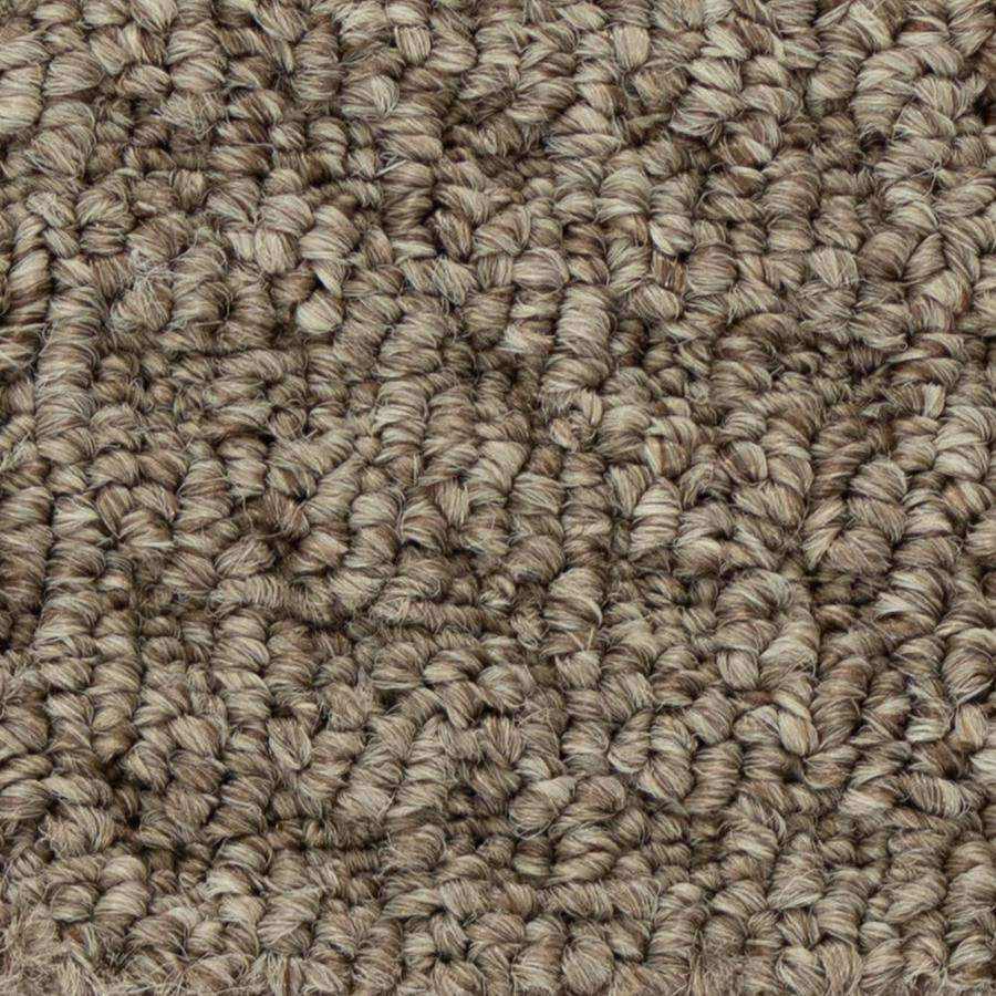 Home & Office Namib Pass Way Berber/Loop Carpet (Interior) in the