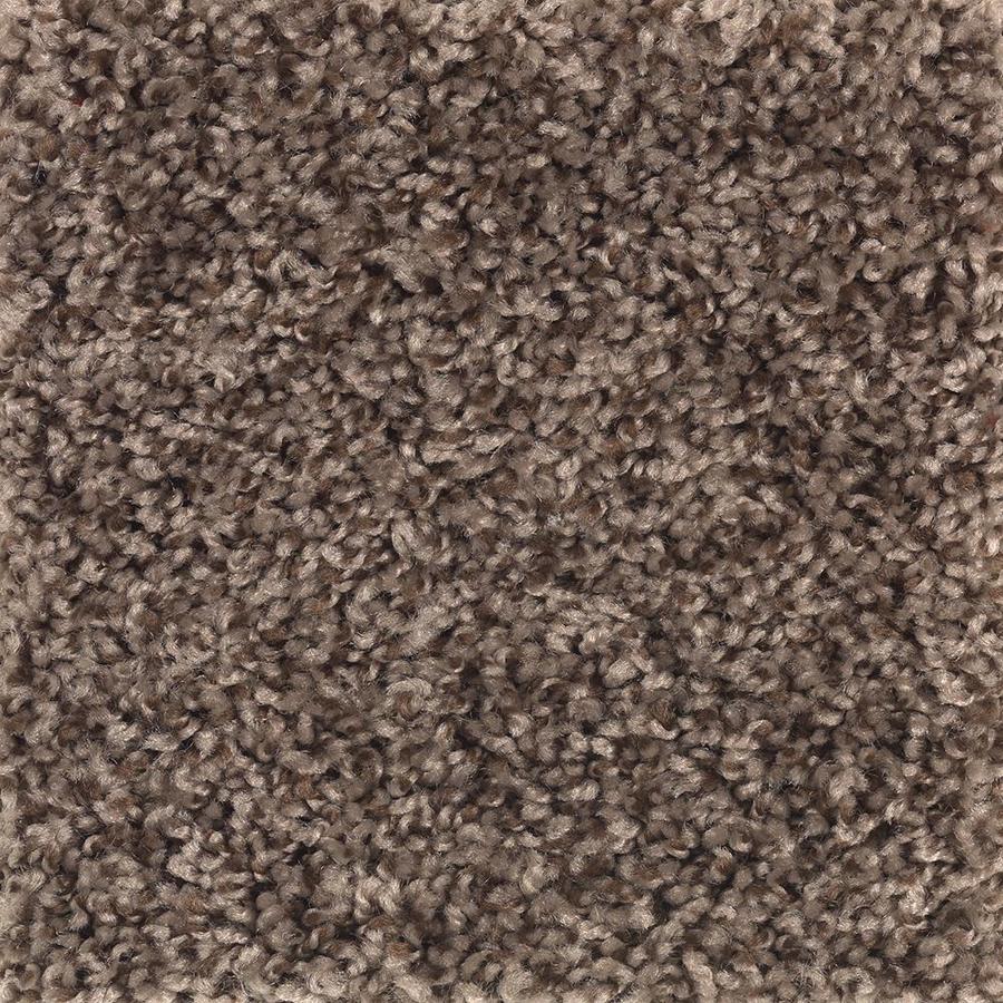 Stainmaster Petprotect Newbury Modest Carpet Sample At Lowes Com