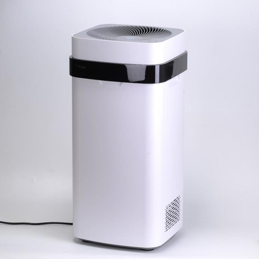 EdenPURE 3Speed 300sq ft Ionic NonHEPA Air Purifier in the Air