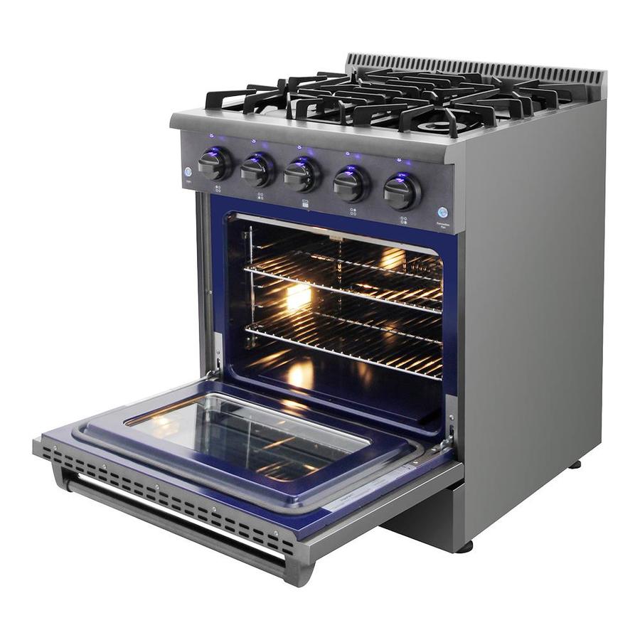thor gas pizza oven