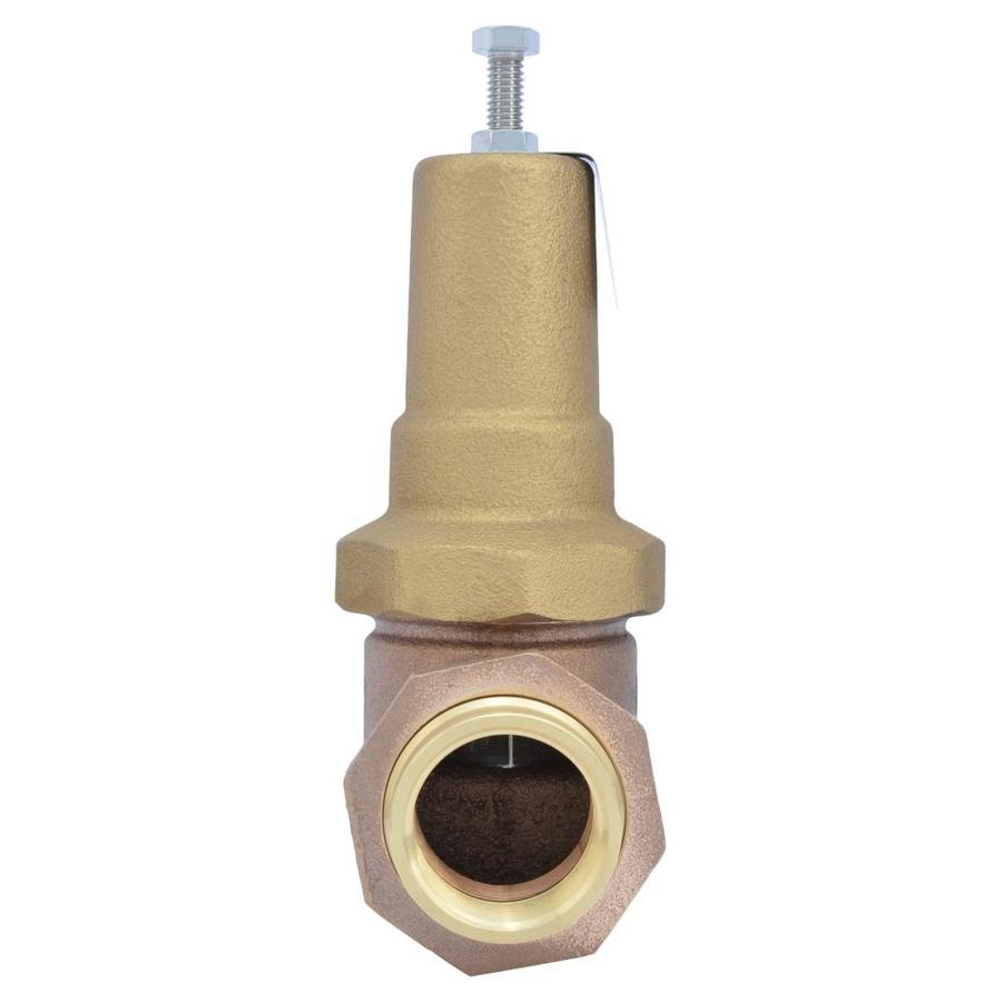 Cash Acme EB45 Brass 1-1/4-in FNPT Pressure Regulator Valve In The ...