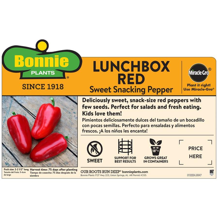 Bonnie Plants Bonnie Plants Snacking Red Pepper 19.3 Oz. 2 Pack In The ...