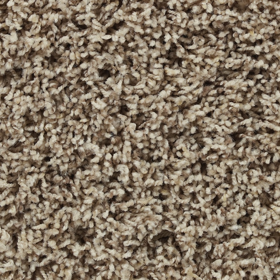 Shop STAINMASTER Active Family Carefree Coventry Frieze Indoor Carpet