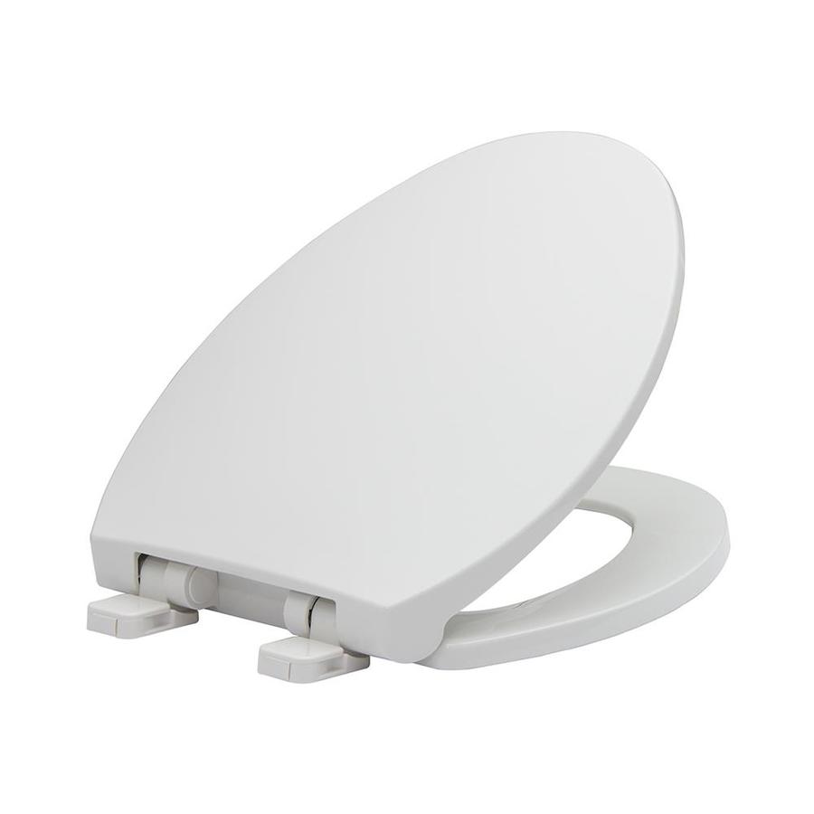 aquasource toilet seat
