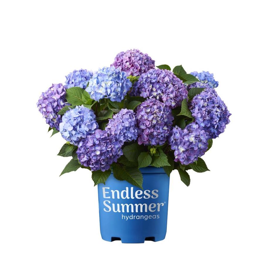 lowes summer sale