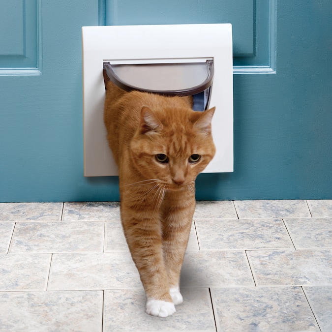 PetSafe Cat Flap Small White Plastic Pet Door in the Pet Doors