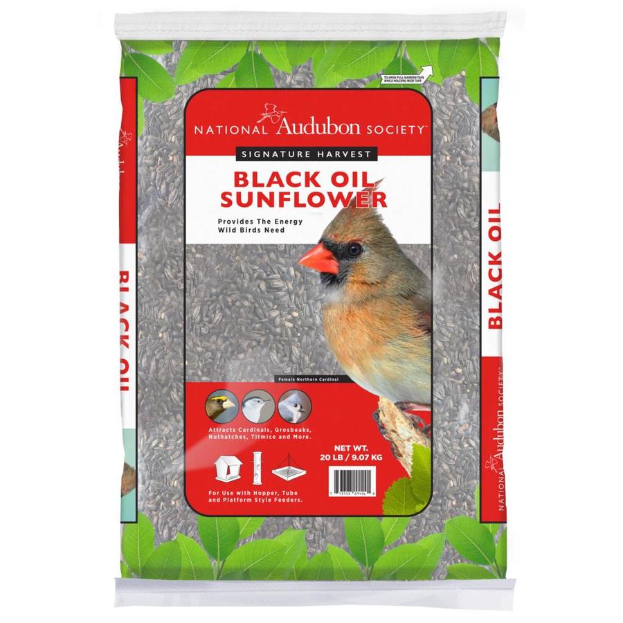 National Audubon Society 20-lb Black Oil Sunflower Bird Seed In The ...