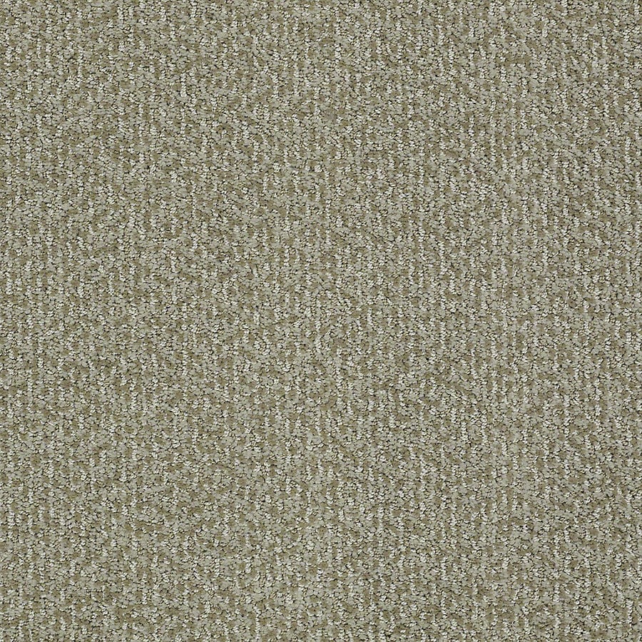 Stainmaster Carpet Color Chart