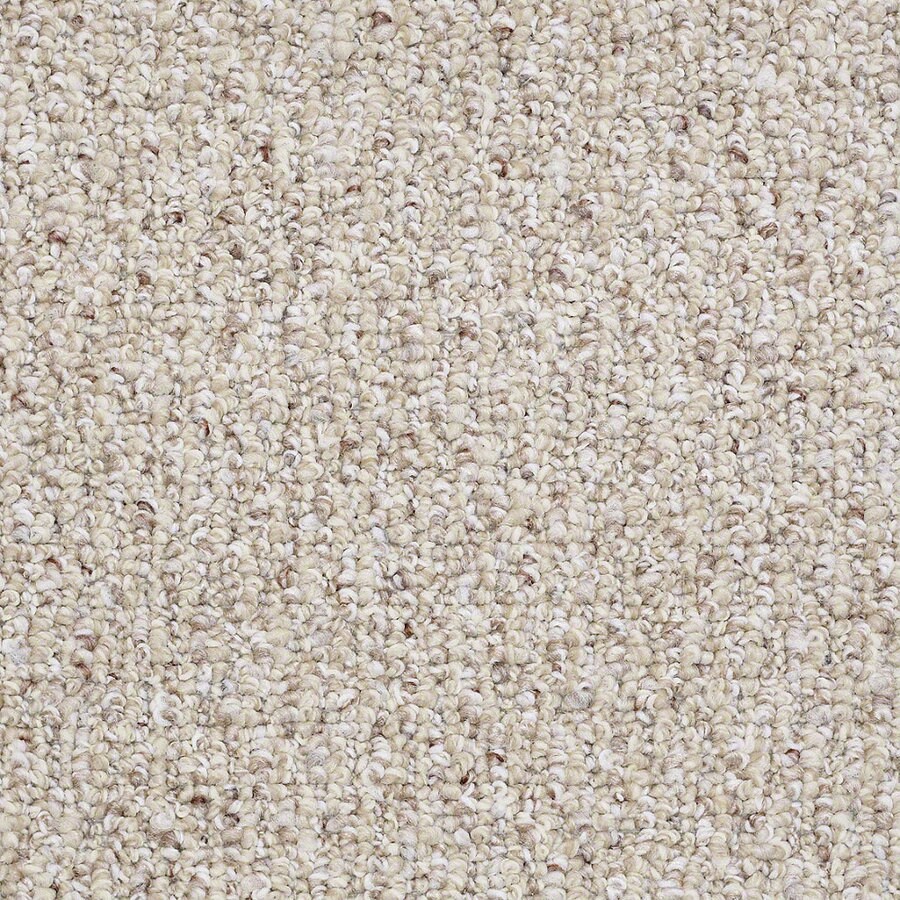 Shaw Sisal Weave Level Loop Pile Indoor Carpet at