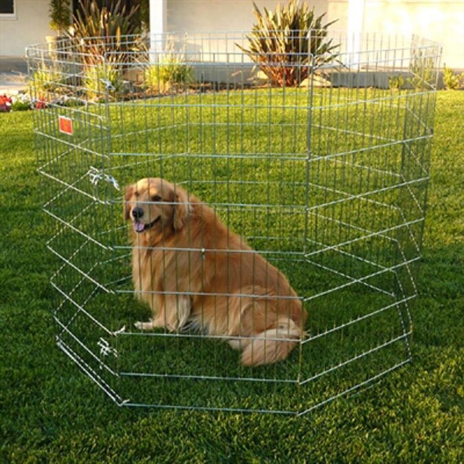 Majestic Pet Products 48 in Silver Wire Outdoor Exercise Pen In The Dog majestic-pet-products-48-in-silver-wire-outdoor-exercise-pen-in-the-dog