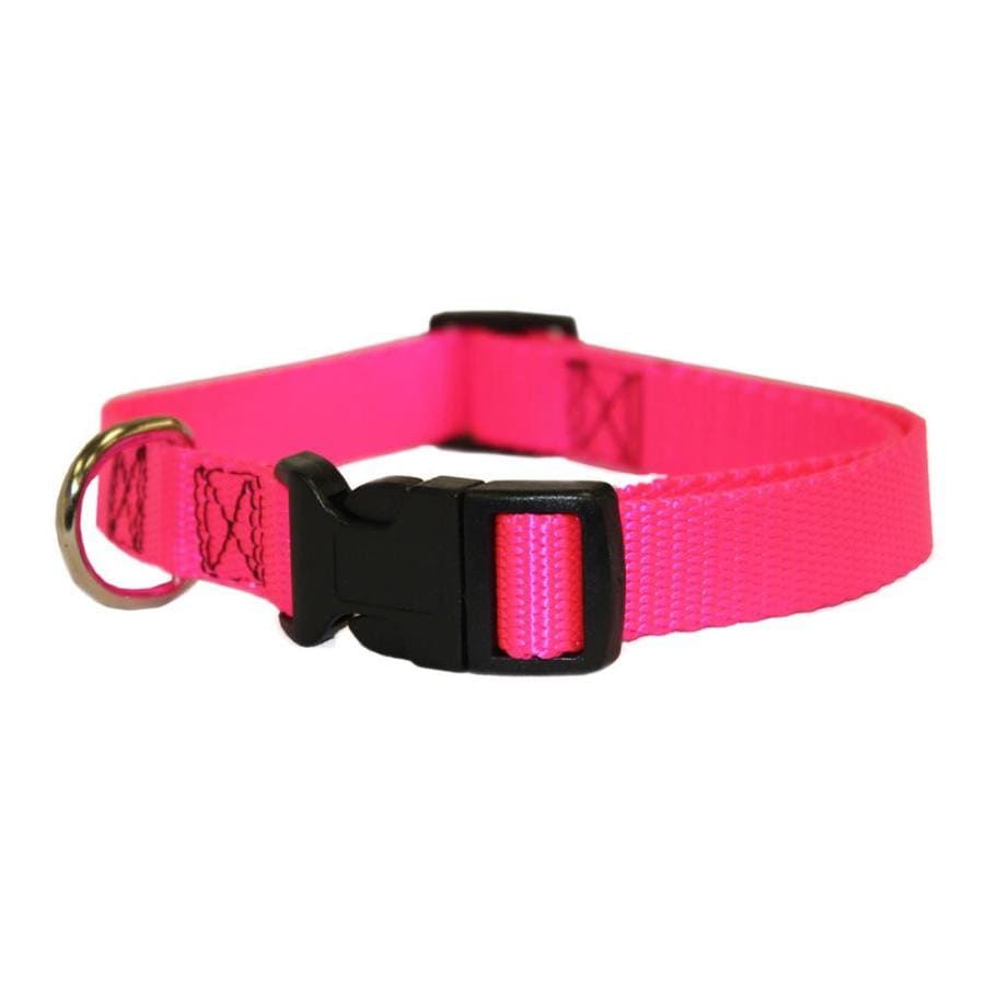 large pink dog collar