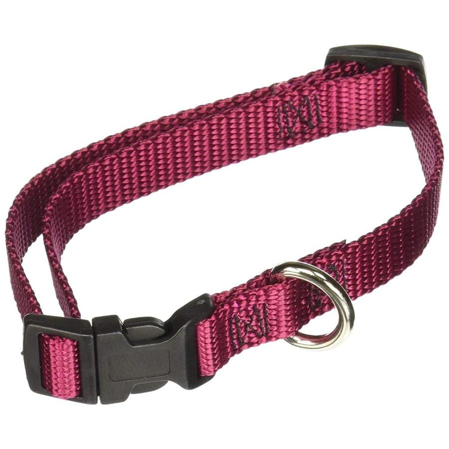 nylon dog collars and leashes