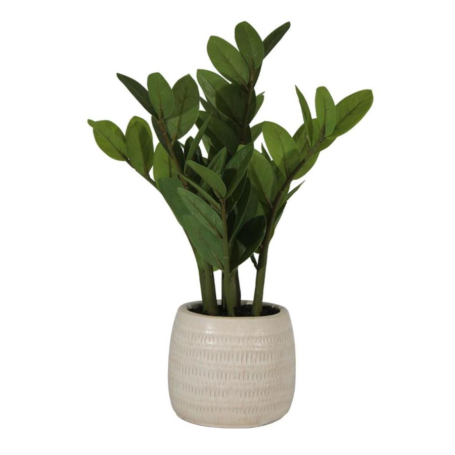 allen + roth Artificial Potted Zamioculcas Zamiifolia in