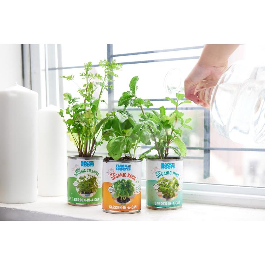 Back to the Roots Kitchen herb Gardening Kit in the Gardening Kits