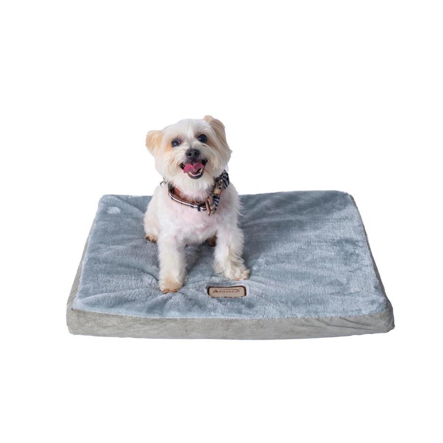 sage green dog collar