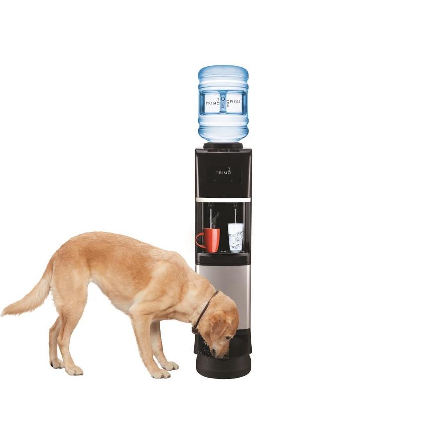 primo water pet station