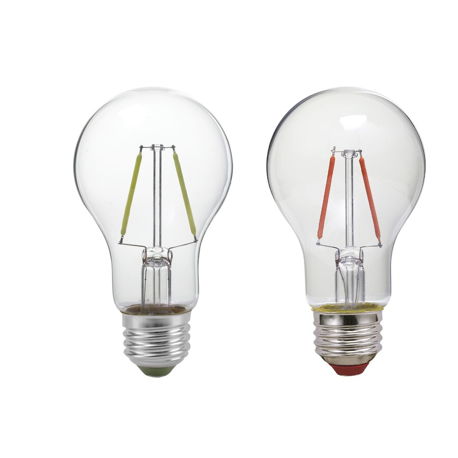 globe light bulbs