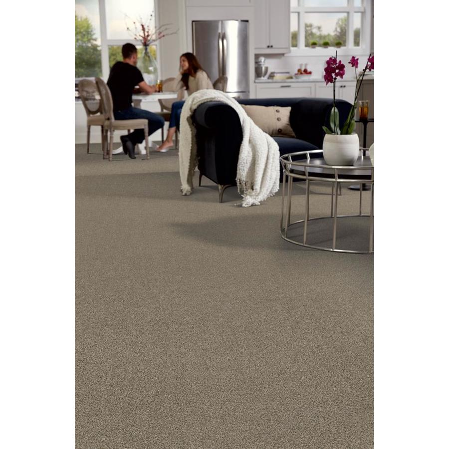 STAINMASTER Splendid 8 Day Firstrate Textured Carpet (Indoor) in the