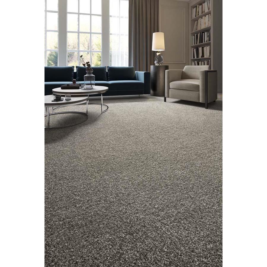 STAINMASTER Essentials Stunning Delight Textured Carpet (Interior) in