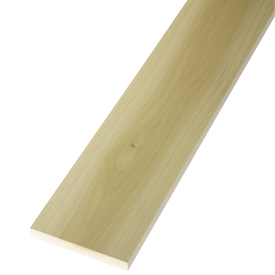 shop poplar board at lowes com shop poplar board at lowes com
