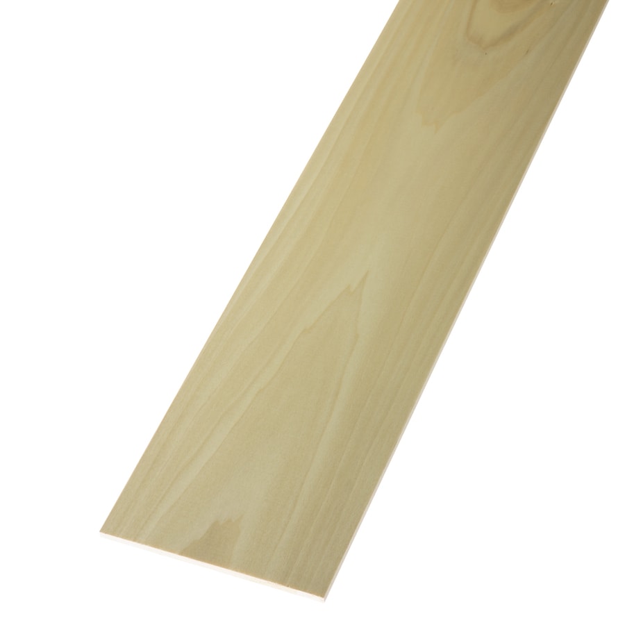 shop poplar board at lowes com shop poplar board at lowes com