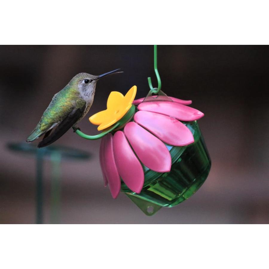 Wild Wings So Real Pink Plastic Nectar Hummingbird Feeder in the Bird