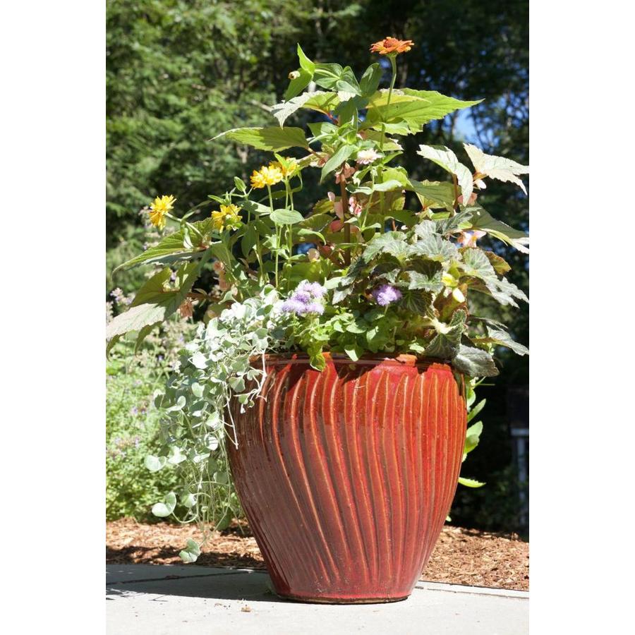 allen + roth 11.8in W x 12.2in H Red Ceramic Planter in the Pots