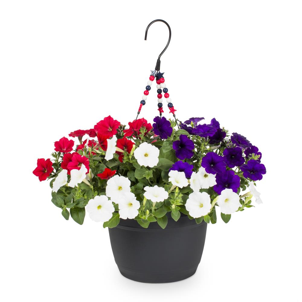 Artificial Hanging Basket In Red & White 