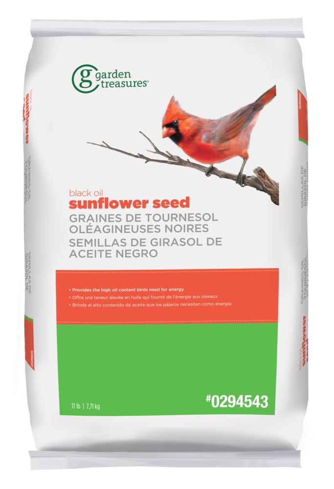 lowe's sunflower bird seed