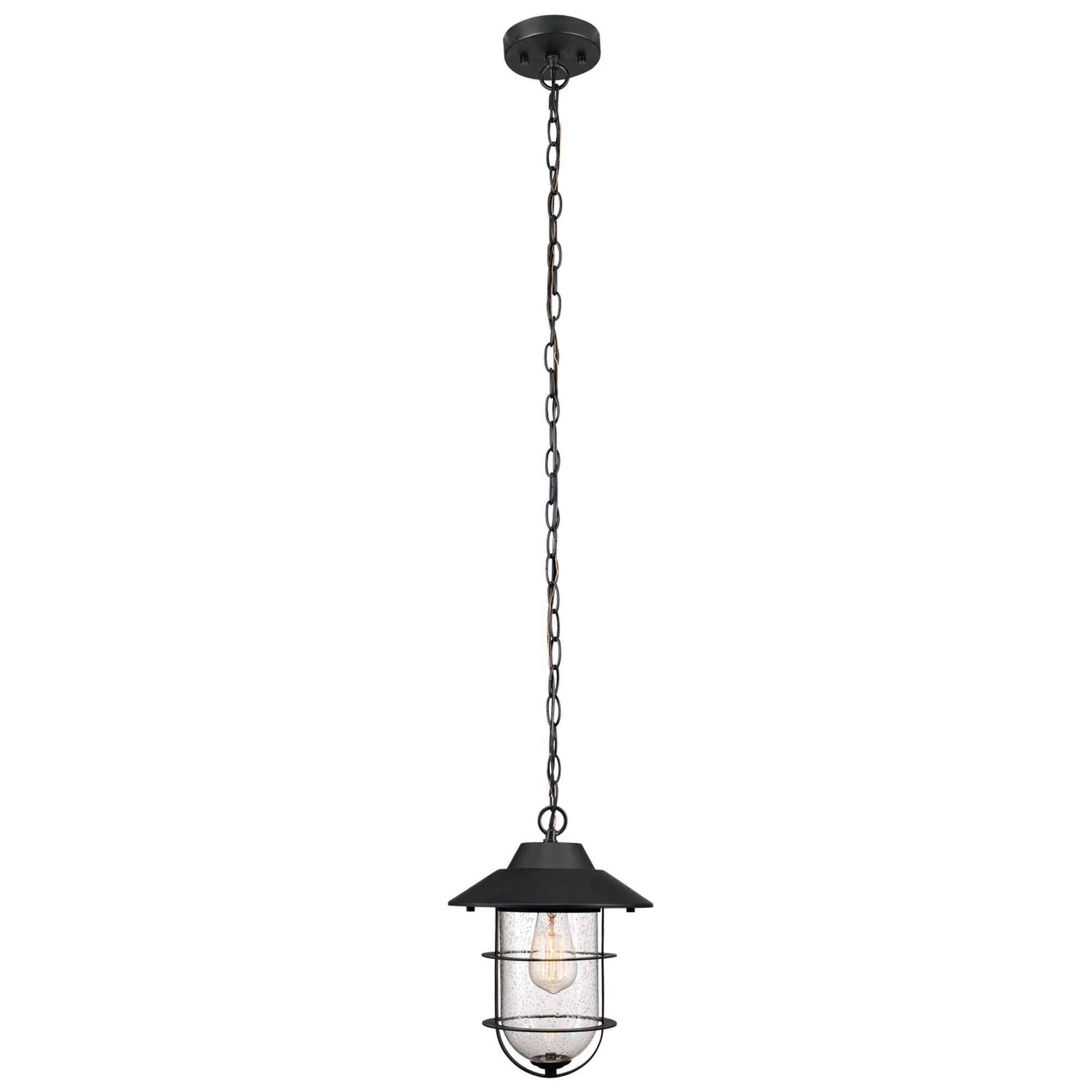 Globe Electric Sansa 1-Light Black Outdoor/Indoor Hanging Pendant 