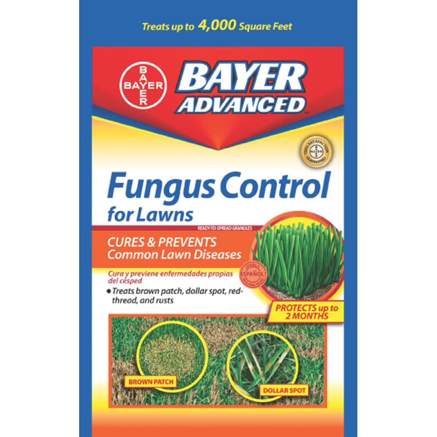 BAYER ADVANCED Lawn Fungus at Lowes.com