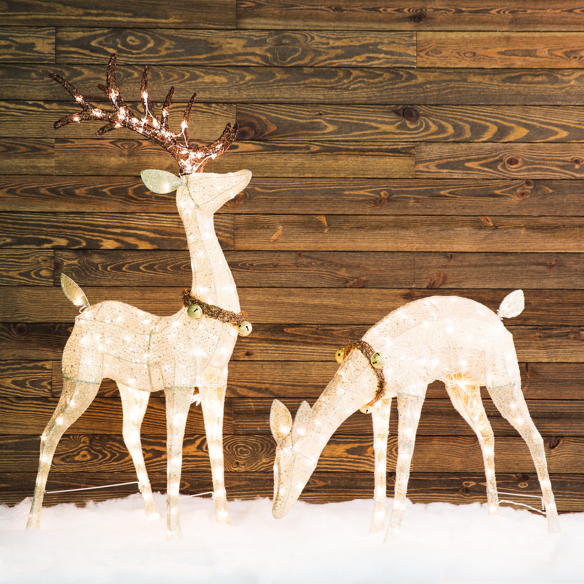 5-in Reindeer Reindeer with White Incandescent Lights in the Outdoor ...