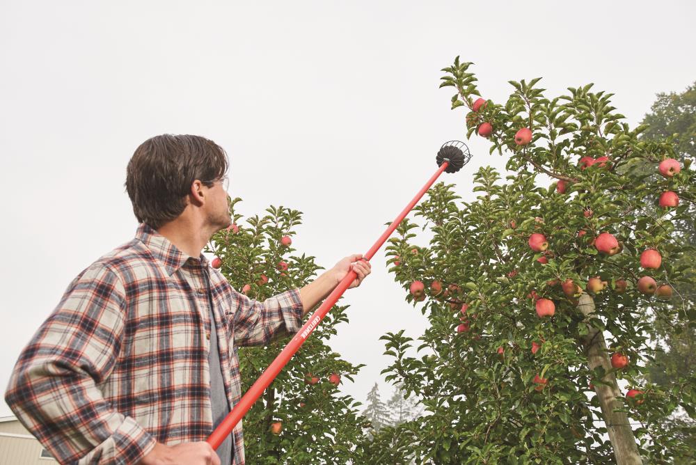 Twist-On Fruit Picker Picking Tool Harvester Basket with Cushion for Fresh Apple 