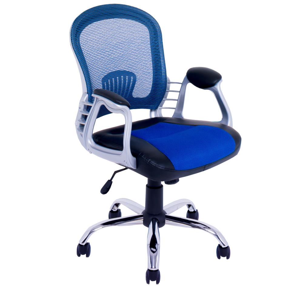 branson and blue ergonomic chair