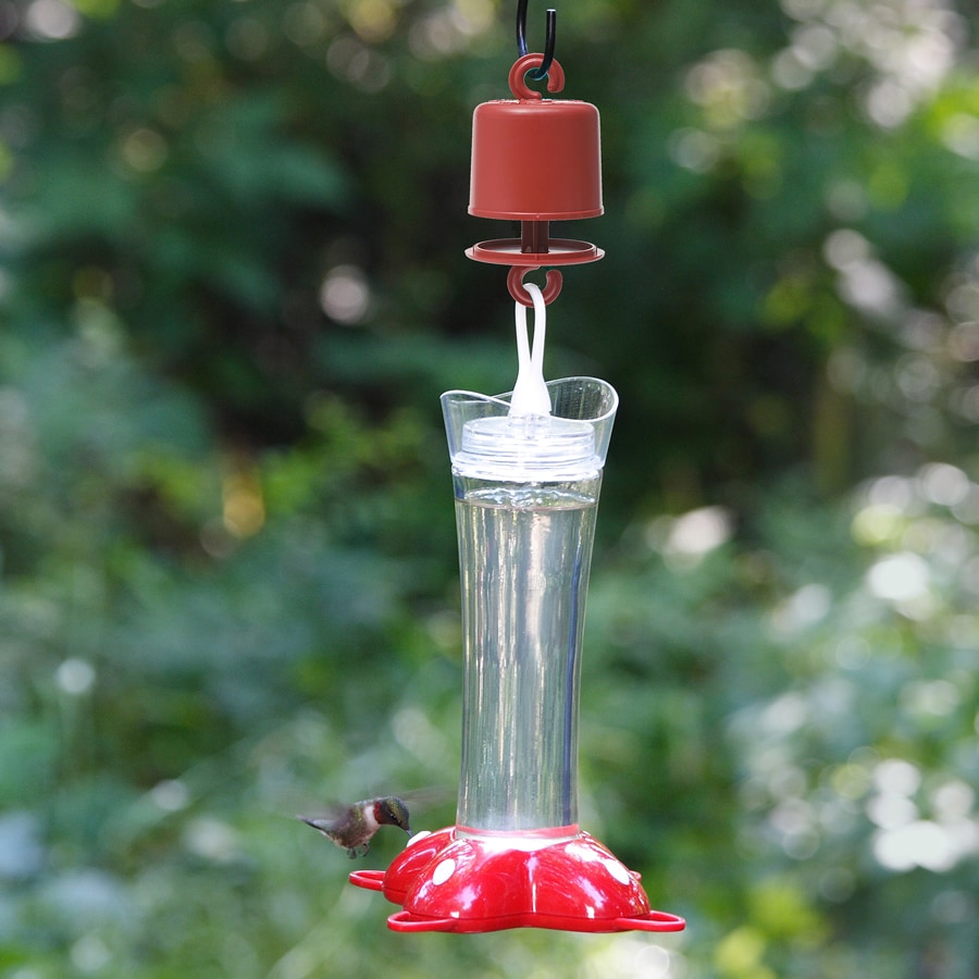 Flower Ant Moat Hummingbird Feeder Nectar Feeders Insect Guards Ants Trap 