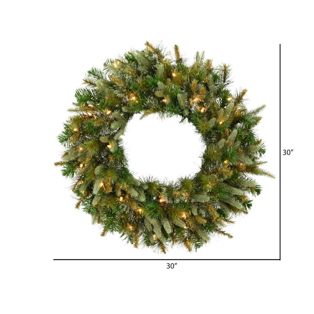 Photo 1 of Vickerman 30" Cashmere Christmas Wreath with 50 Clear Lights"