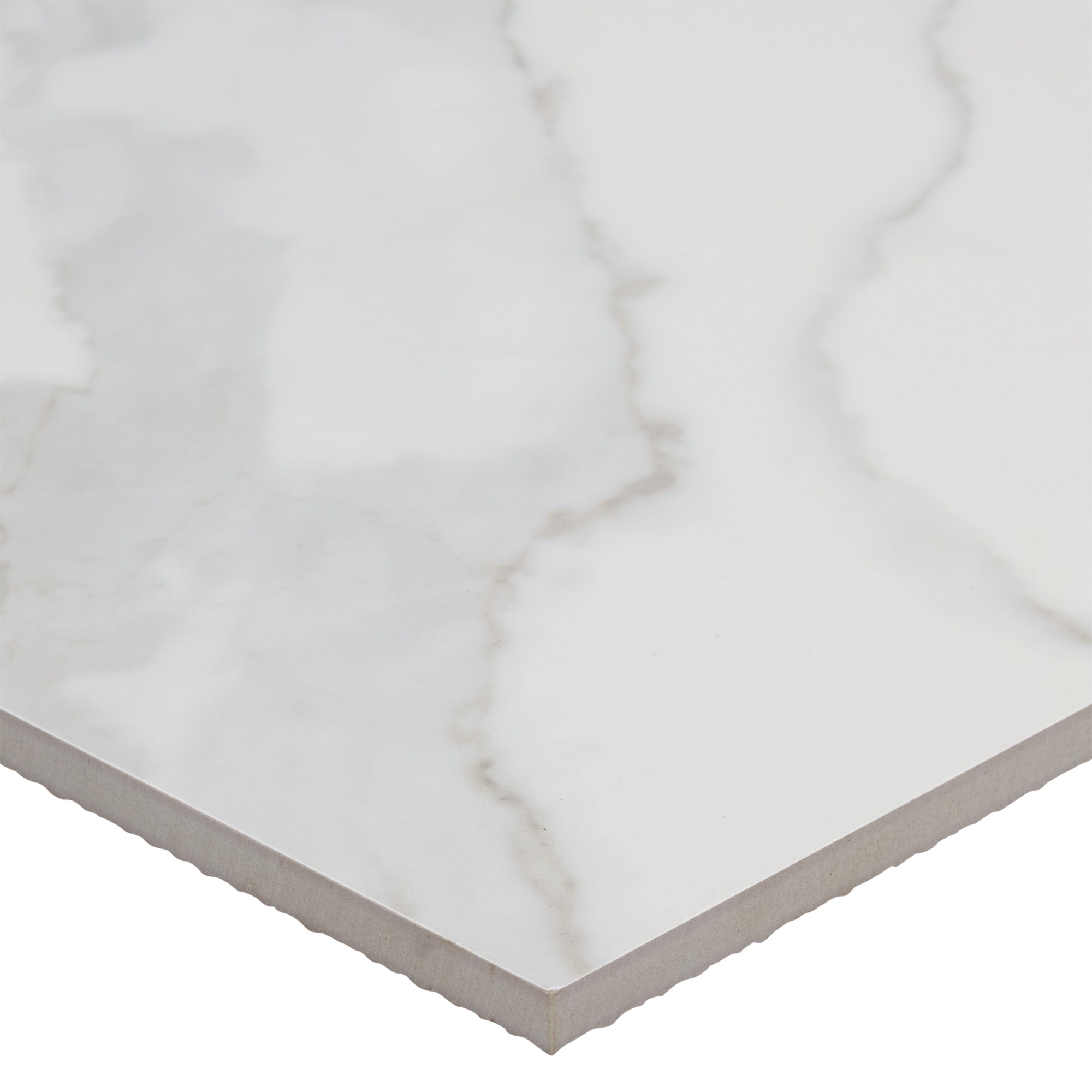 Style Selections Calacatta White 12in x 12in Matte Porcelain Marble